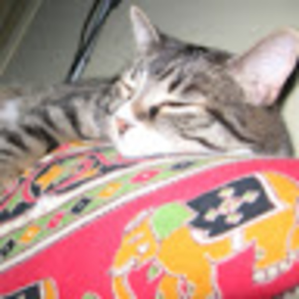 Cool items and unique vintage and contemporary